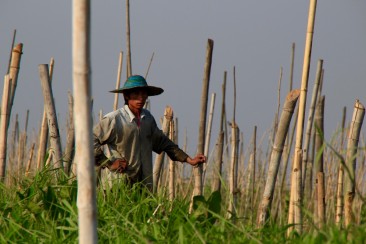 Lac Inle