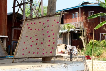 Lac Inle - Fabrique d'ombrelles