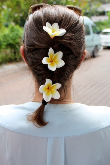 Chiang Mai - Fleurs de frangipanier