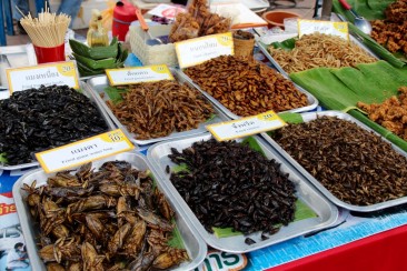 Chiang Mai - Street food