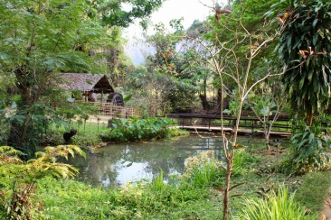 Road Trip Nord Thailande - Fish Cave