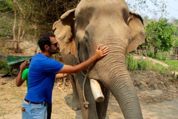 Elephant Retirement Park