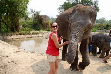 Elephant Retirement Park - Journée exceptionnelle