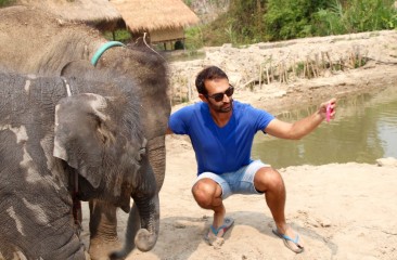 Elephant Retirement Park