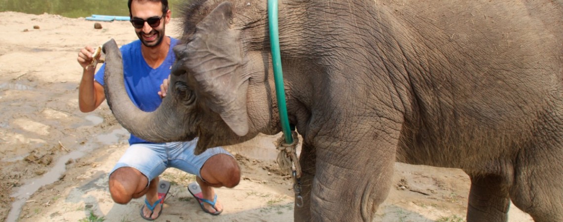 Elephant Retirement Park