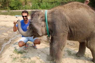 Elephant Retirement Park