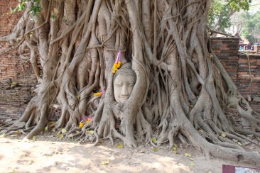 Ayutthaya