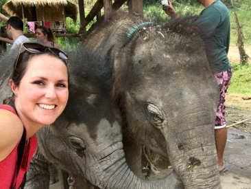 Elephant Retirement Park - Selfie V2!