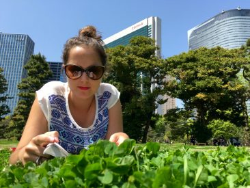 Jardin Hamarikyu