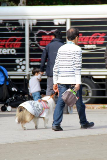Parc de Ueno - Tel chien, tel maître