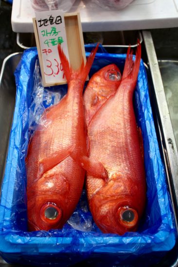 La marché aux poisson de Tsukiji