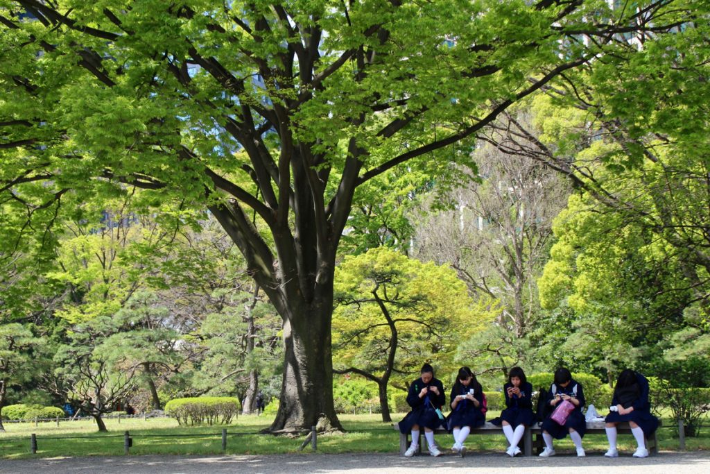 Jardin Hamarikyu