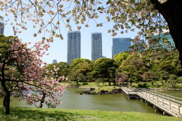 Jardin Hamarikyu
