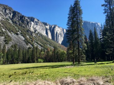 Promenade dans la vallée du Yosemite