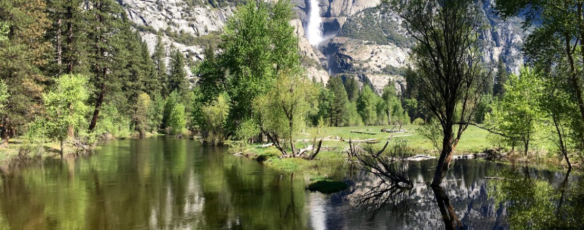 Promenade dans la vallée du Yosemite