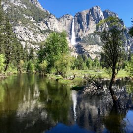 Yosemite National Park