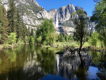 Promenade dans la vallée du Yosemite