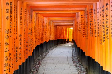 Fushimi Inari et ses Toris