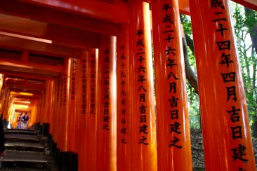 Fushimi Inari et ses Toris