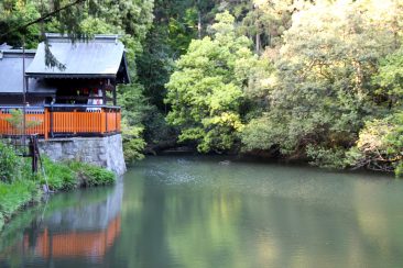 Fushimi Inari et ses Toris