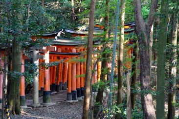 Fushimi Inari et ses Toris