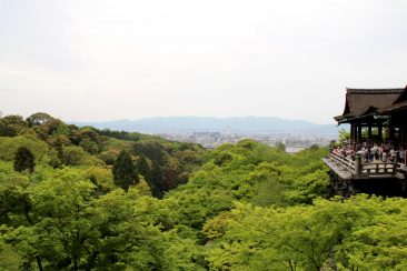 Kiyomizu Dera Temple