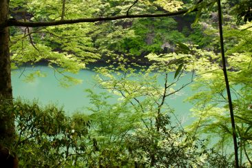 L'Ouest de Kyoto