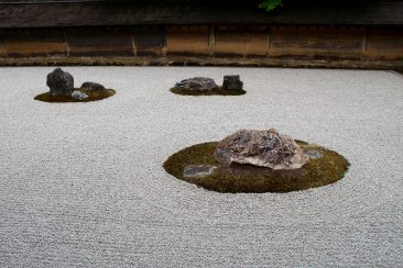 The Rock Garden