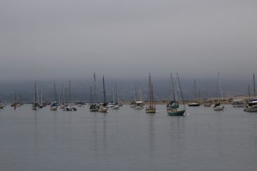 Morro Bay