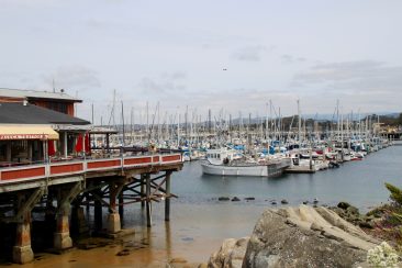 Monterey