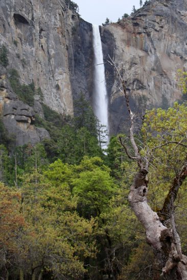 Bridalveil Fall