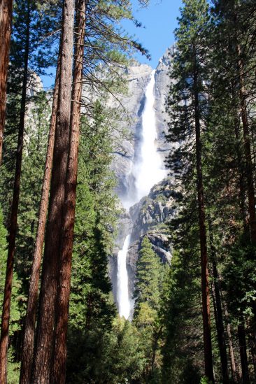 Yosemite Falls