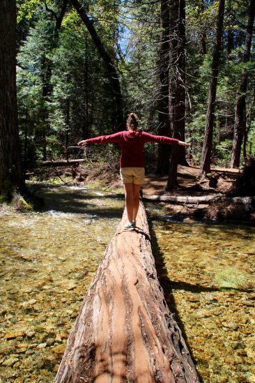 Promenade dans la vallée du Yosemite