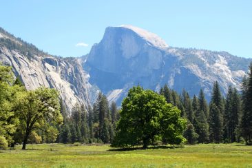 Half Dome