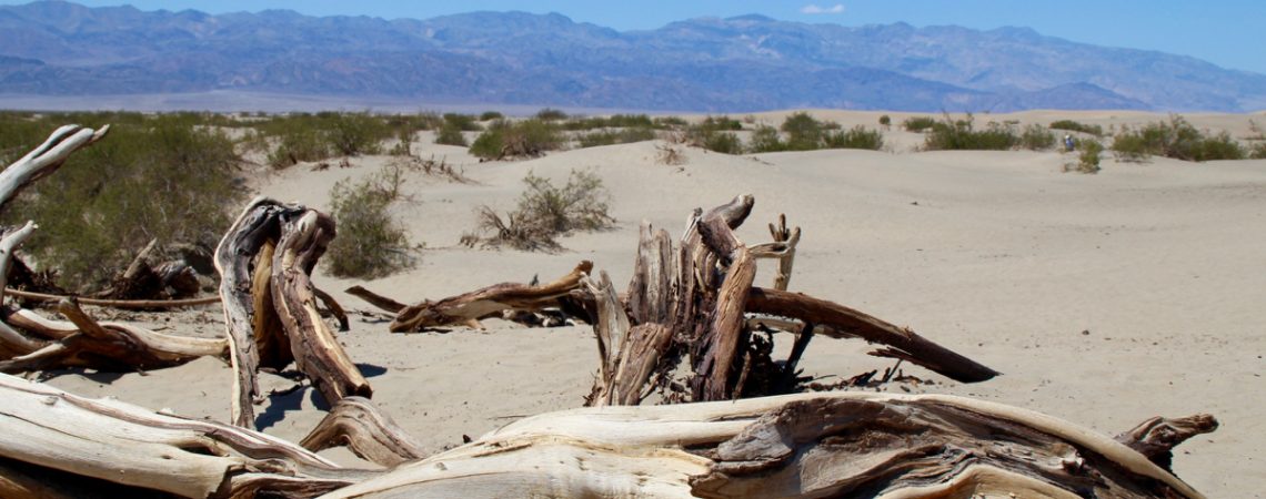 Mesquite Flat Sand Dunes