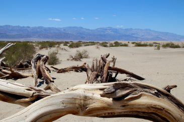 Mesquite Flat Sand Dunes