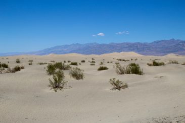 Mesquite Flat Sand Dunes