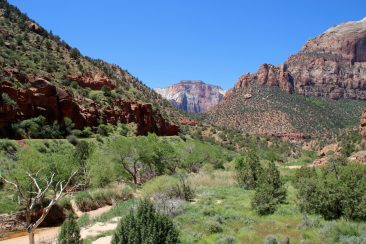 Zion National Park