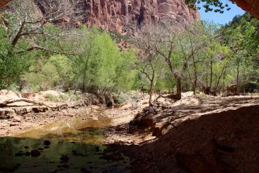 Zion National Park