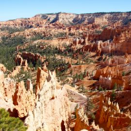 Zion et Bryce Canyon