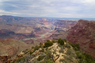 Desert View Point