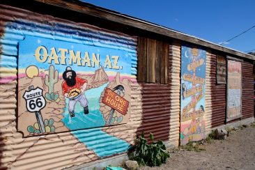 Oatman et ses ânes