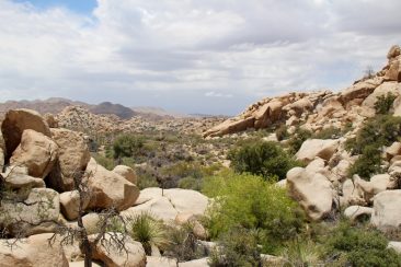 Barker Dam 