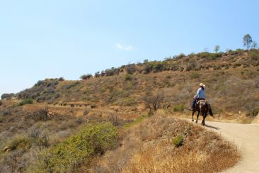 Griffith Park