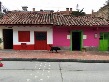 Ruelles colorées