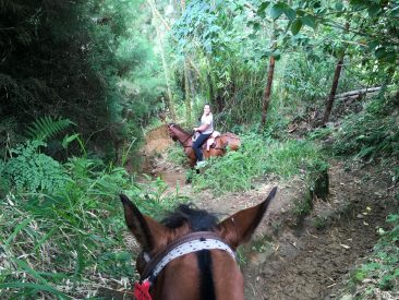 Promenade à cheval