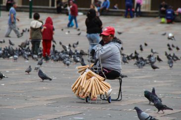 Plaza Bolivar et ses pigeons