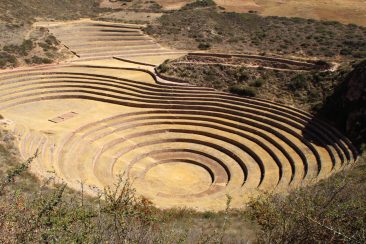 Ruines de Moray, laboratoire agricole