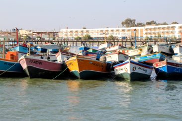 Port de Paracas