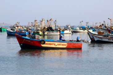 Port de Paracas